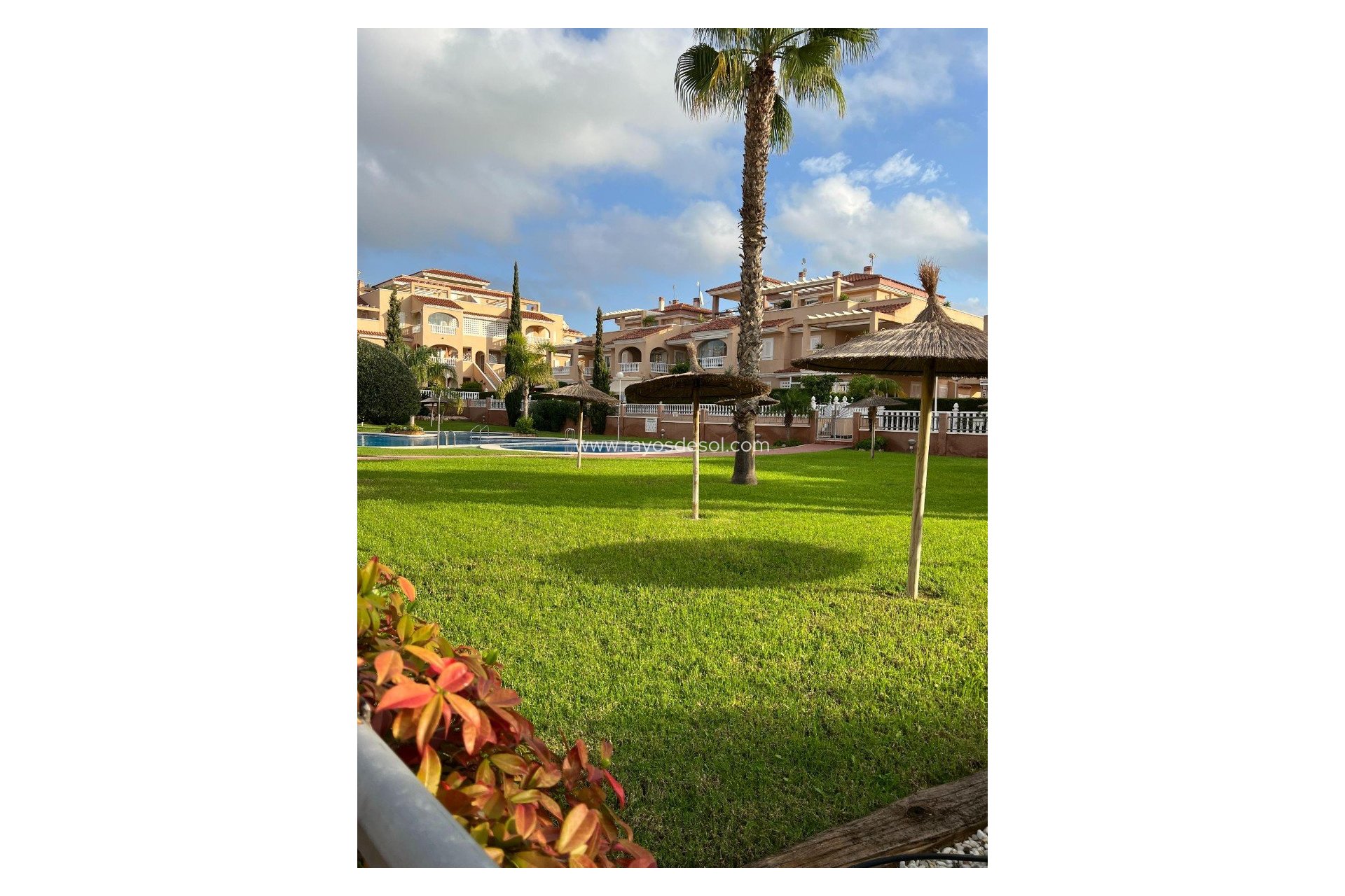 Herverkoop - Appartement - Torrevieja - Punta Prima