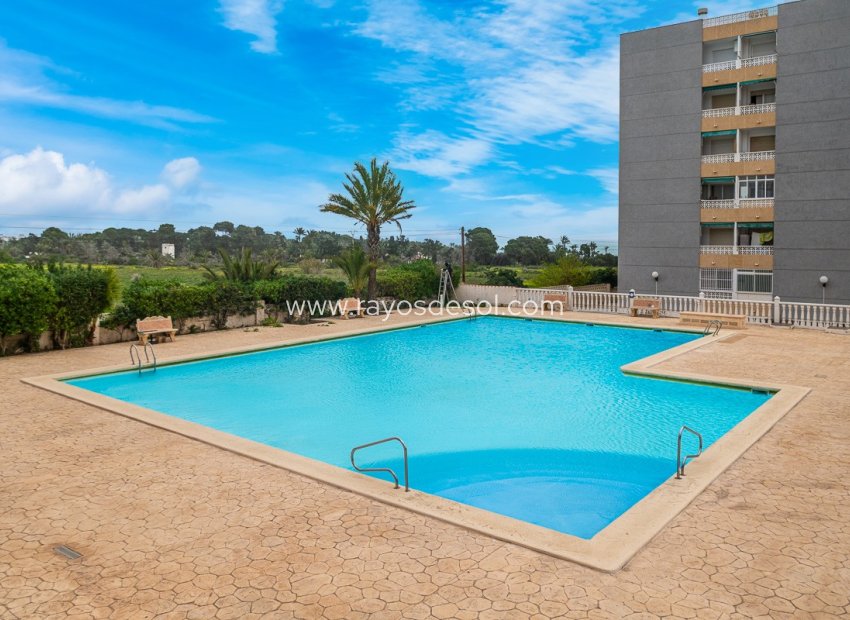 Herverkoop - Appartement - Torrevieja - Punta Prima