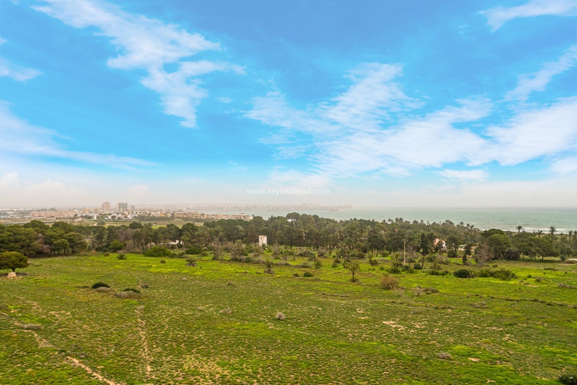 Herverkoop - Appartement - Torrevieja - Punta Prima