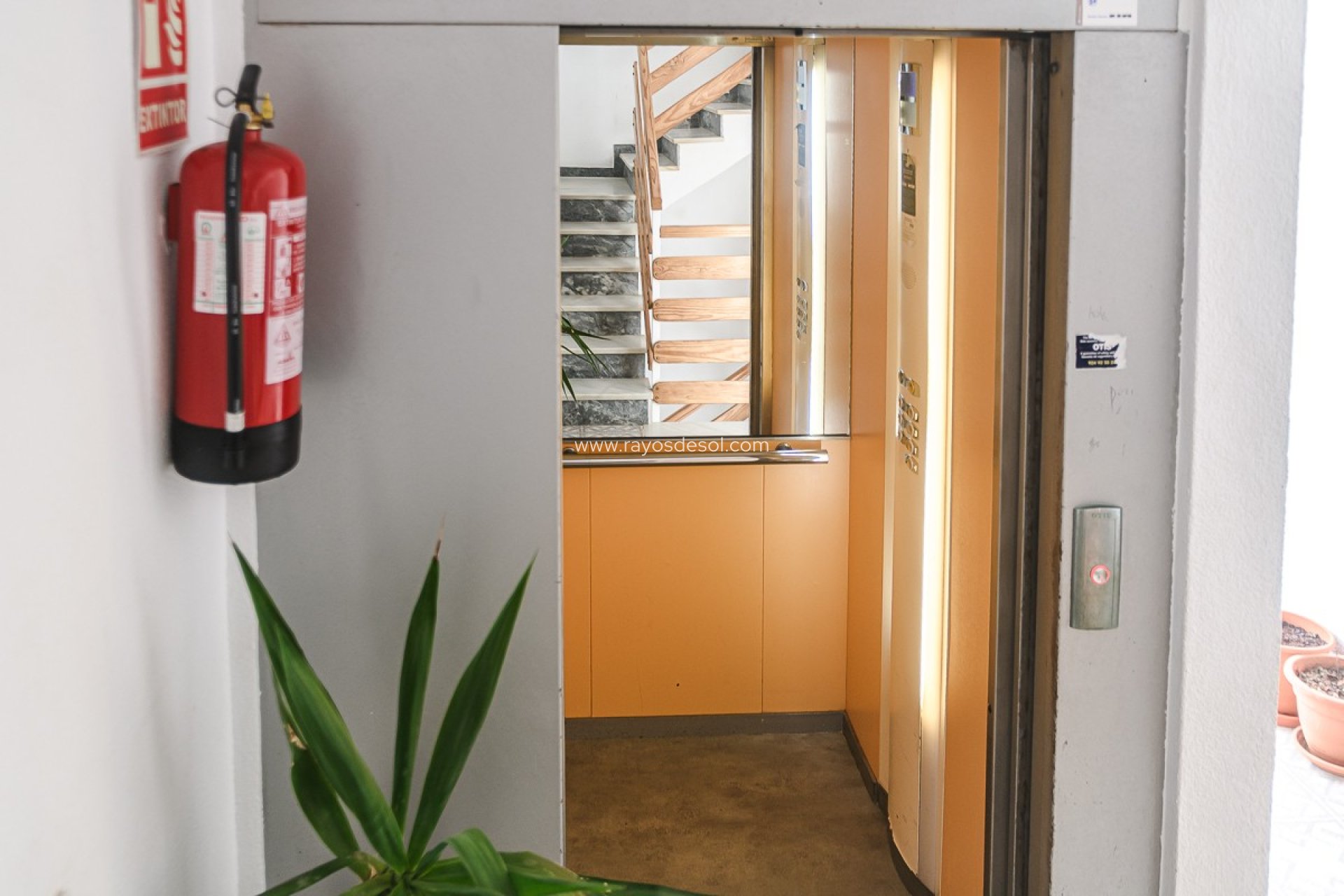 Herverkoop - Appartement - Torrevieja - Punta Prima