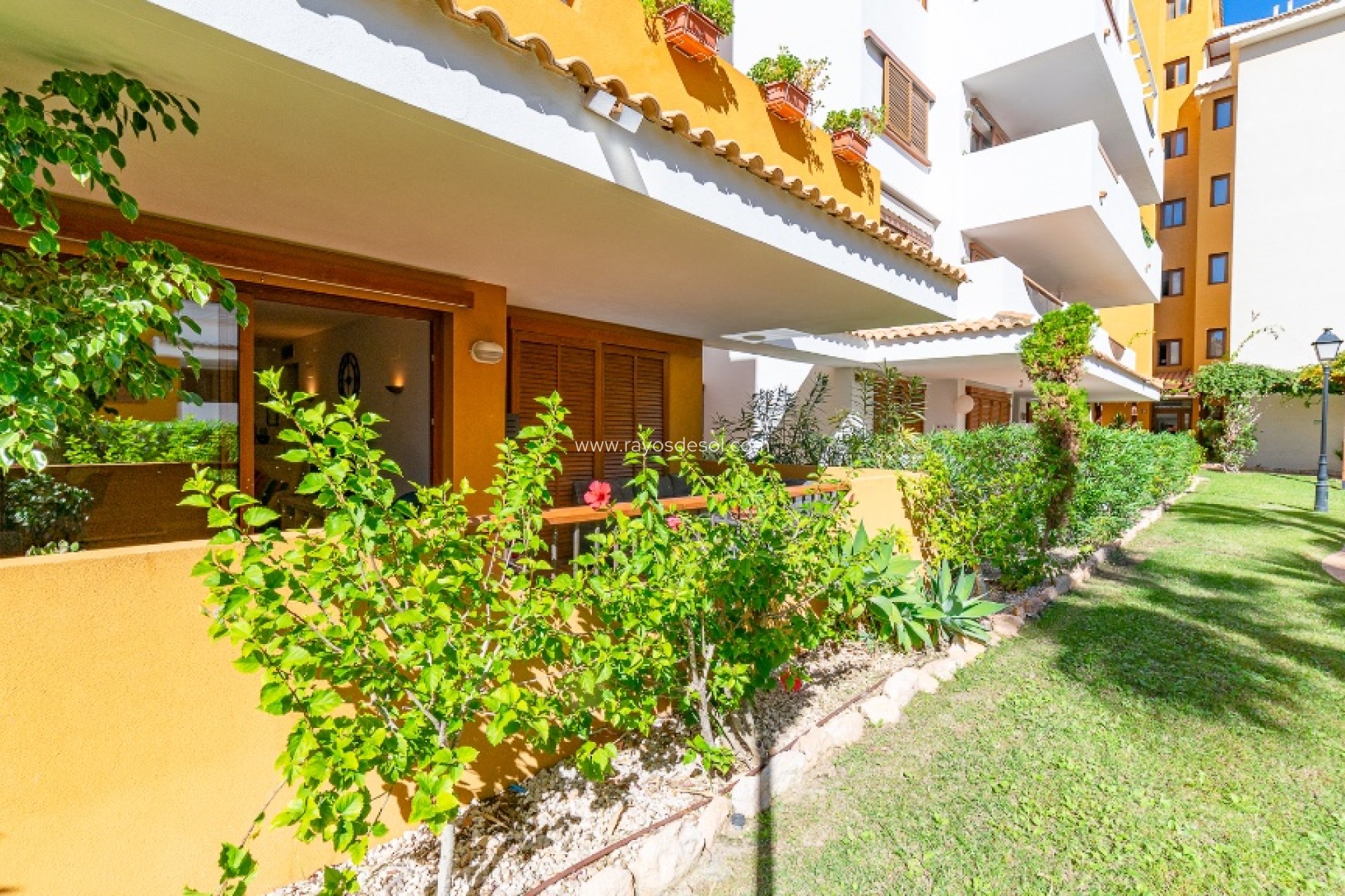 Herverkoop - Appartement - Torrevieja - Punta Prima