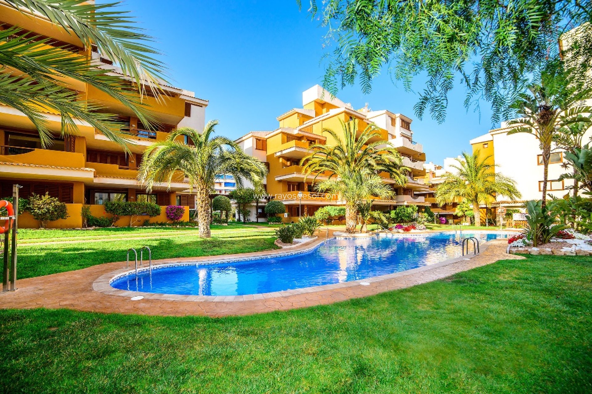 Herverkoop - Appartement - Torrevieja - Punta Prima