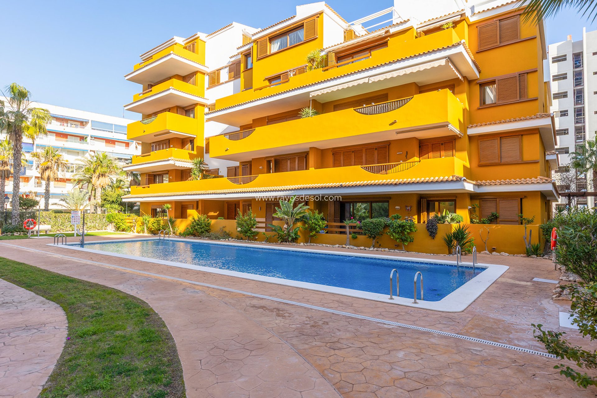 Herverkoop - Appartement - Torrevieja - Punta Prima