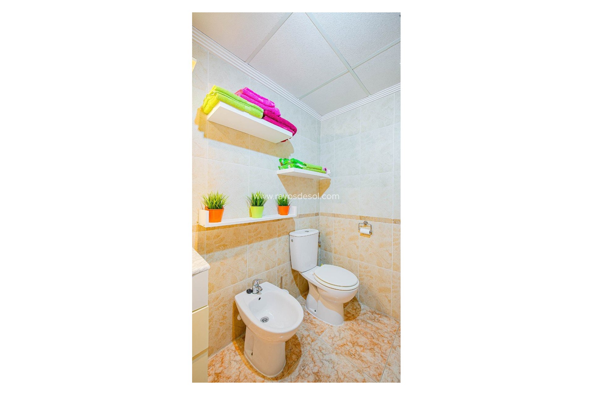 Herverkoop - Appartement - Torrevieja - Punta Prima