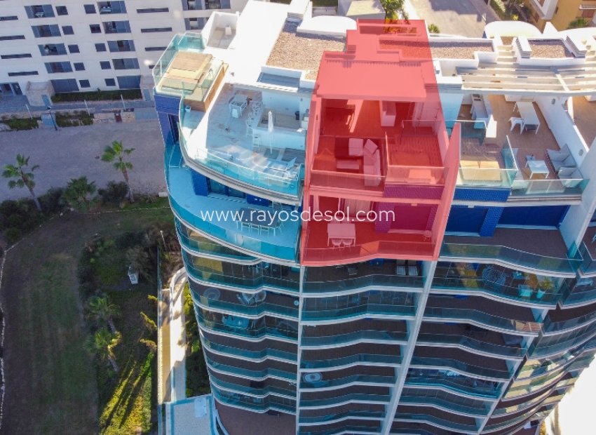 Herverkoop - Appartement - Torrevieja - Punta Prima