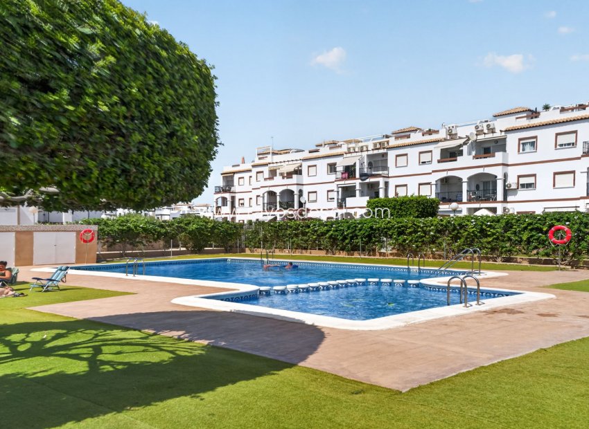 Herverkoop - Appartement - Torrevieja - Punta Prima