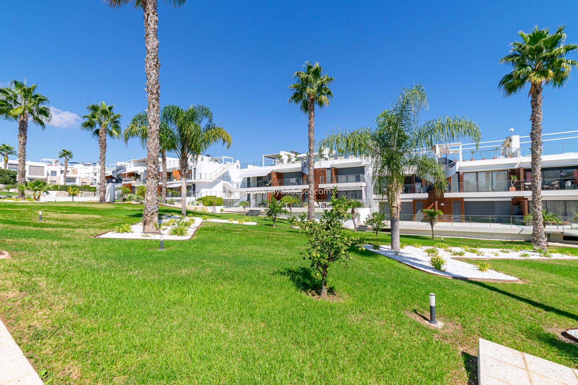 Herverkoop - Appartement - Torrevieja - Punta Prima