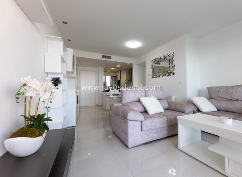 Herverkoop - Appartement - Torrevieja - Sea Senses