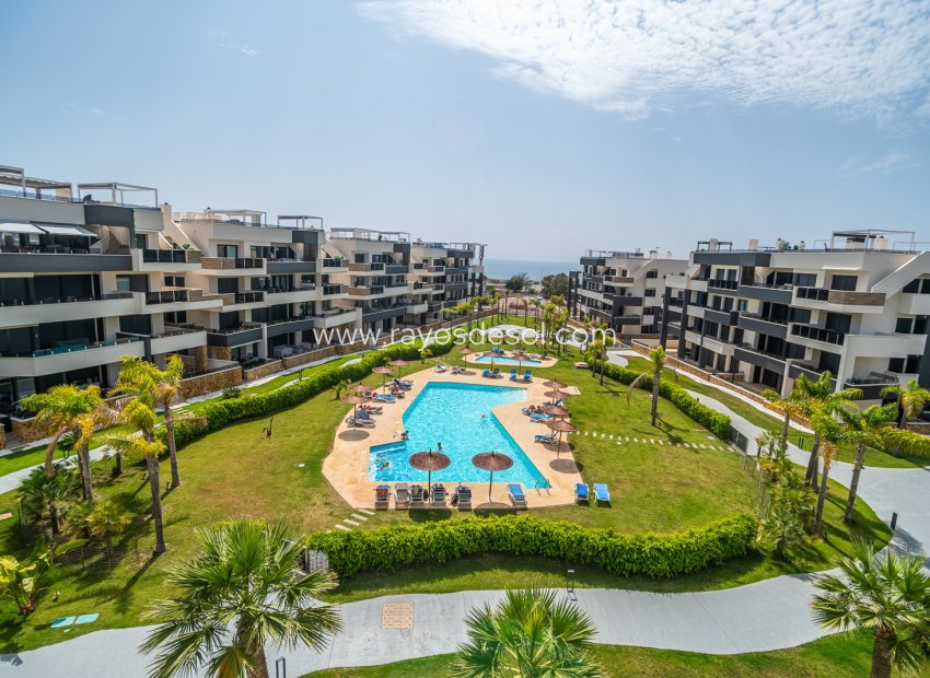 Herverkoop - Appartement - Torrevieja
