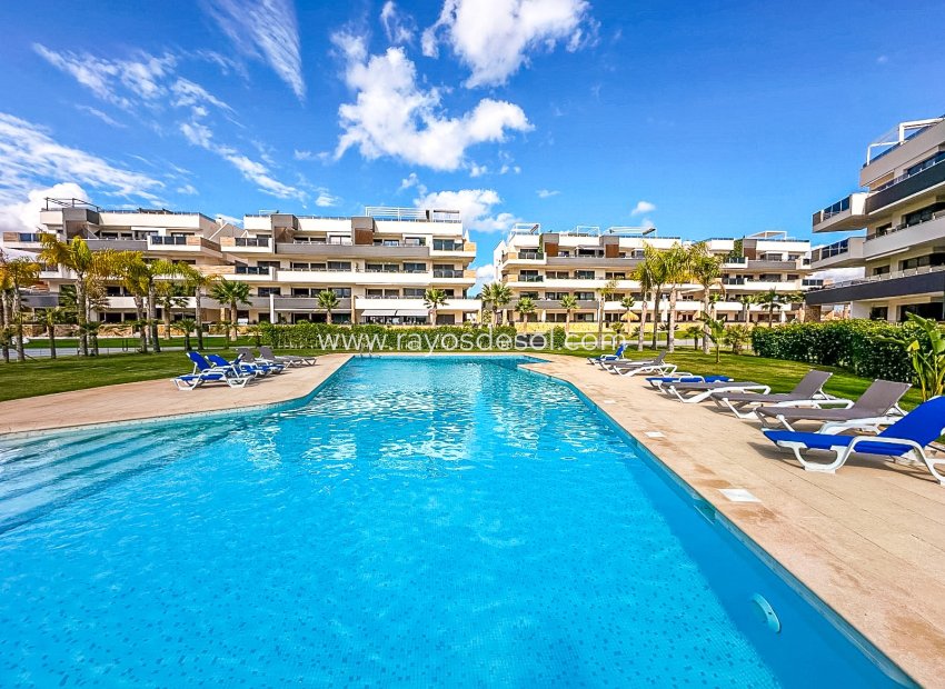 Herverkoop - Appartement - Torrevieja
