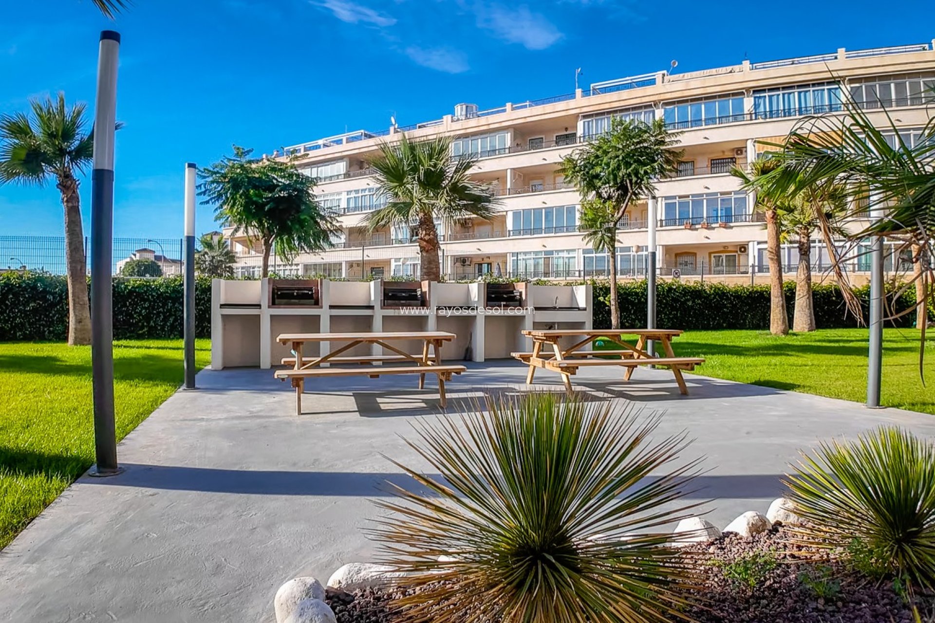 Herverkoop - Appartement - Torrevieja