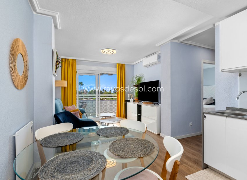 Herverkoop - Appartement - Torrevieja