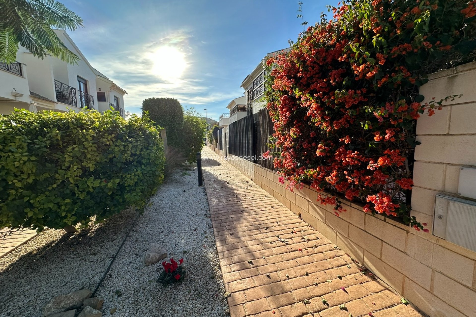 Herverkoop - Huis - San Cayetano