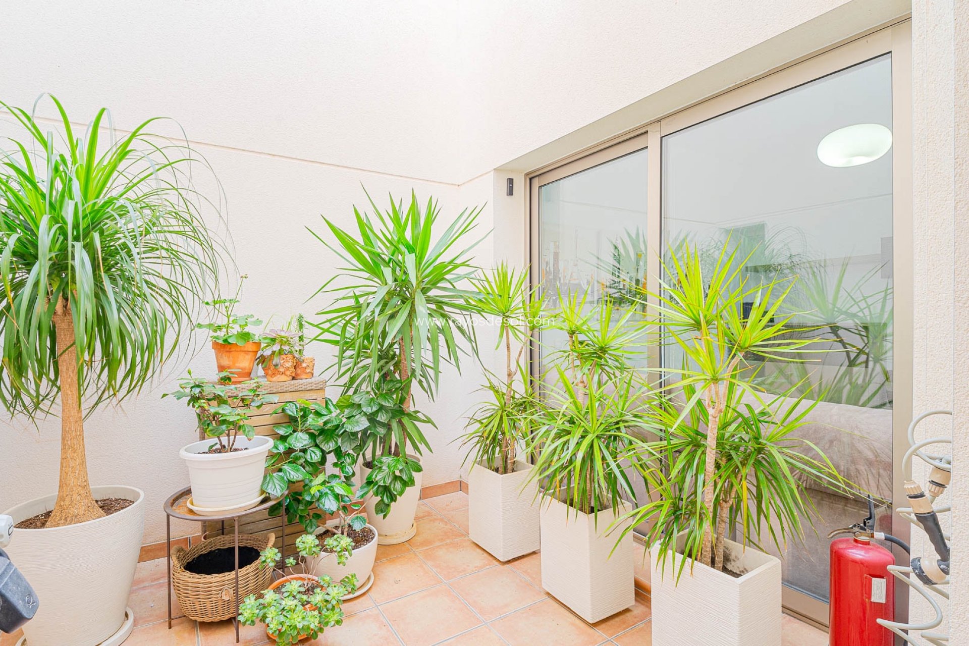 Herverkoop - Huis - Torrevieja - Punta Prima