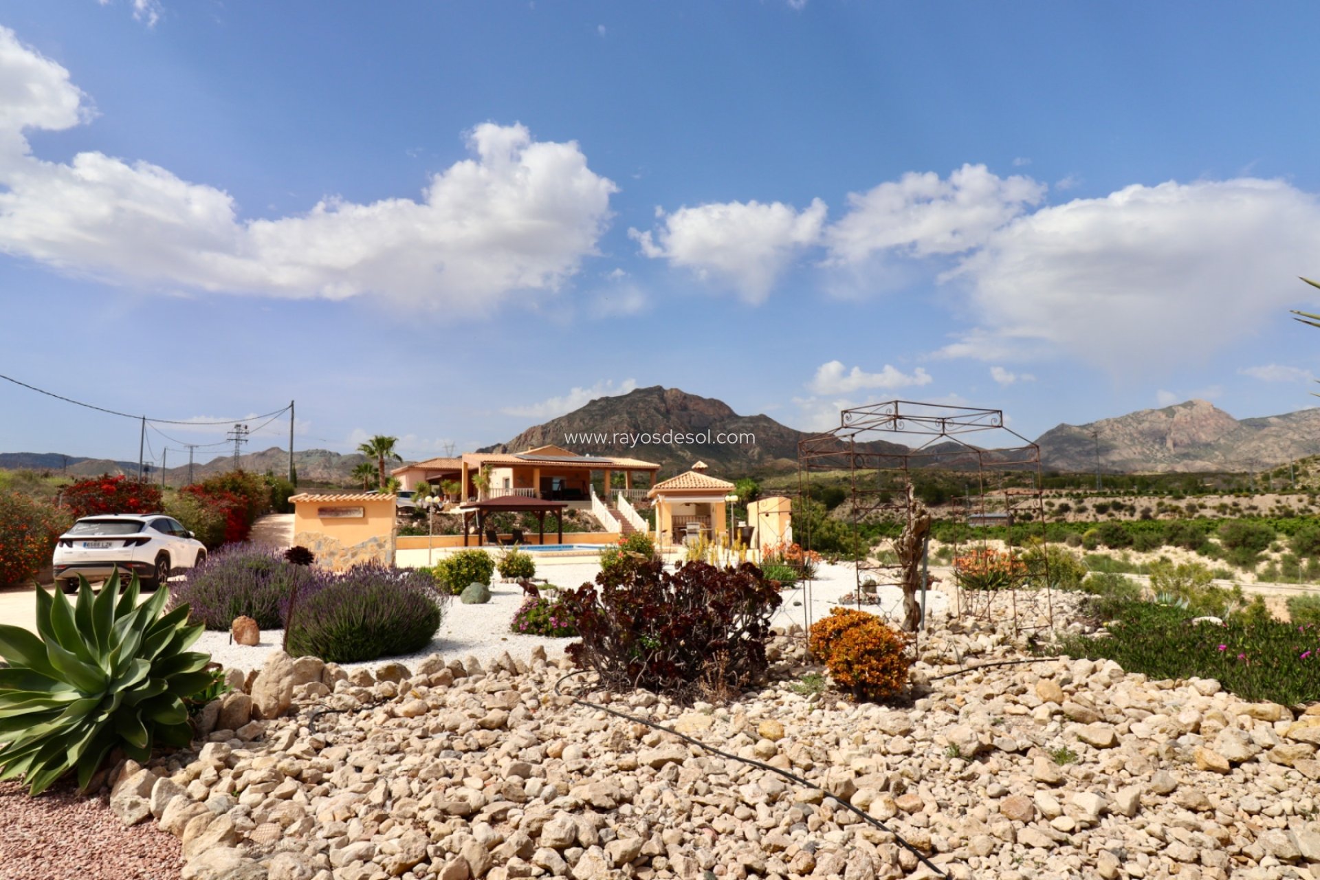 Herverkoop - Landhuis - Finca - Albatera