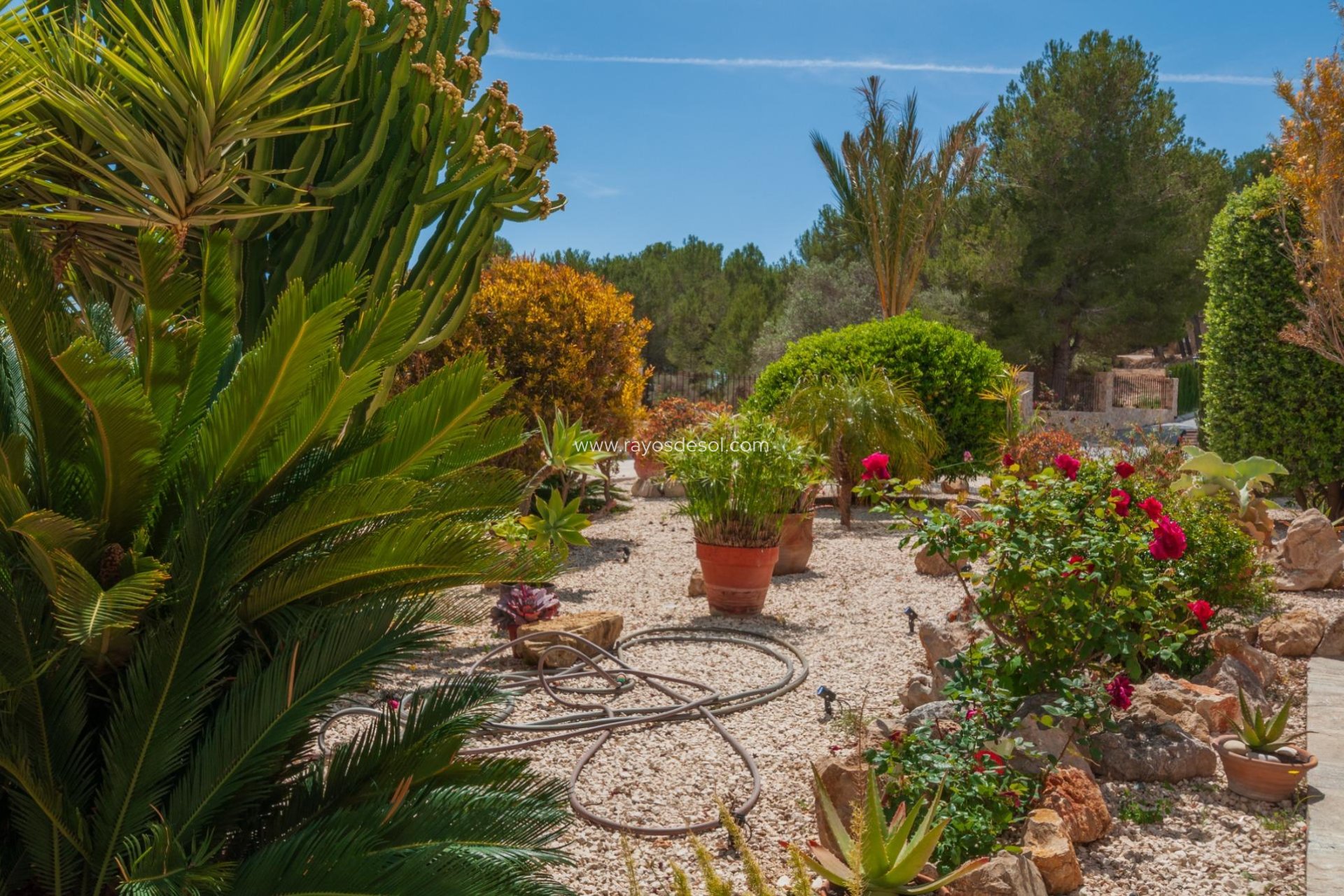 Herverkoop - Landhuis - Finca - Teulada - Zona de la playa