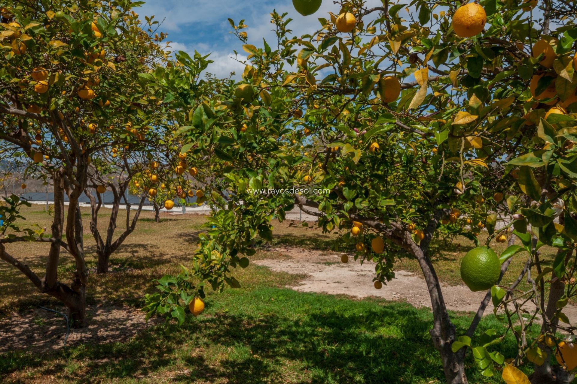 Herverkoop - Landhuis - Finca - Teulada - Zona de la playa