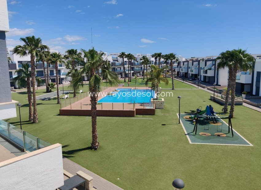 Herverkoop - Penthouse - Guardamar del Segura - El Raso