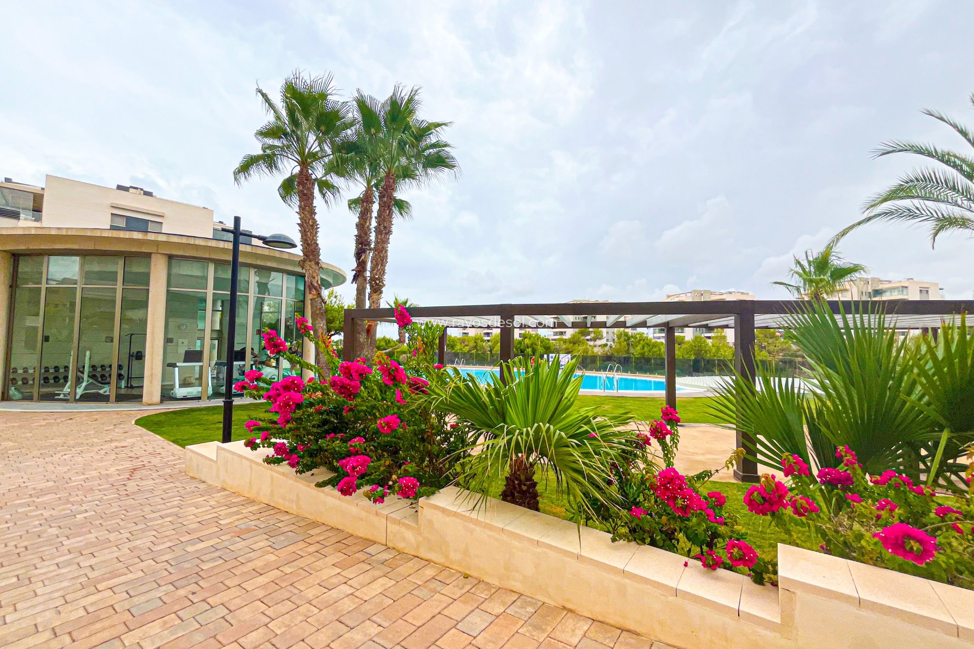 Herverkoop - Penthouse - Orihuela Costa - Villamartín