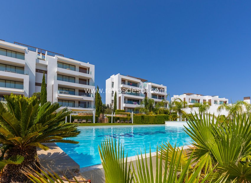 Herverkoop - Penthouse - Orihuela Costa