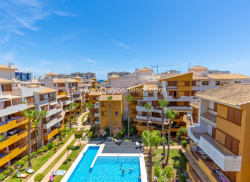 Herverkoop - Penthouse - Torrevieja - La Recoleta