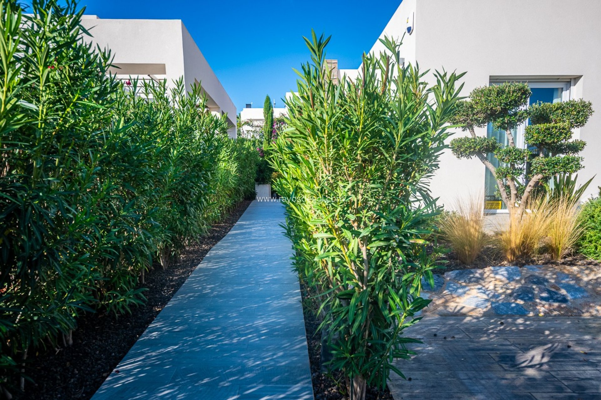 Herverkoop - Villa - Algorfa - LA FINCA GOLF / ALGORFA