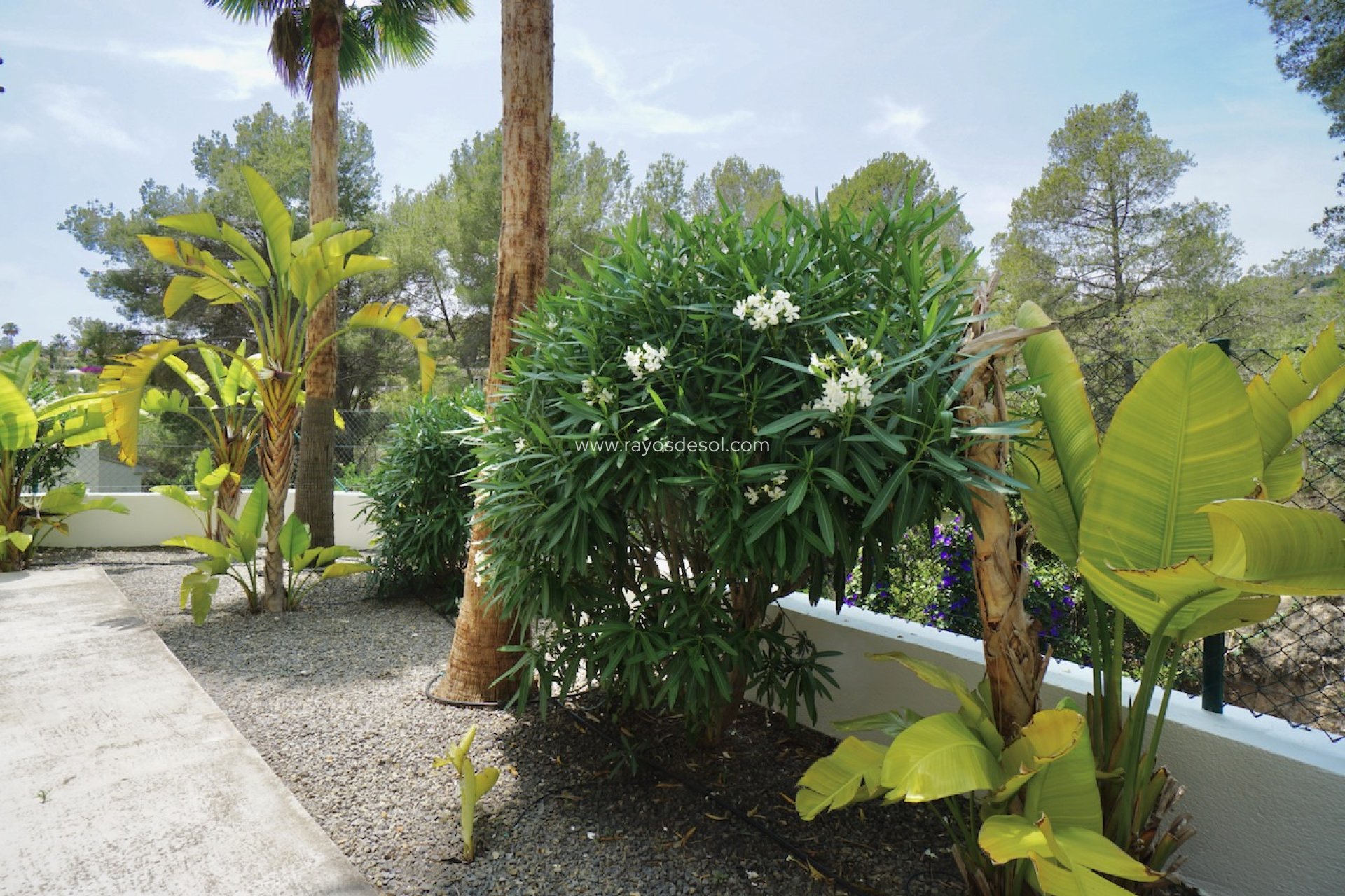 Herverkoop - Villa - Benissa - Montemar