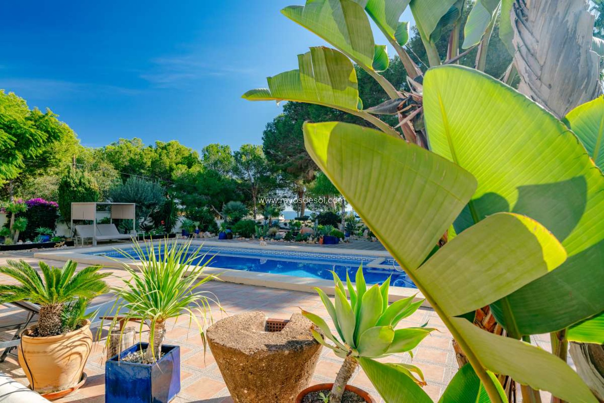 Herverkoop - Villa - Calpe