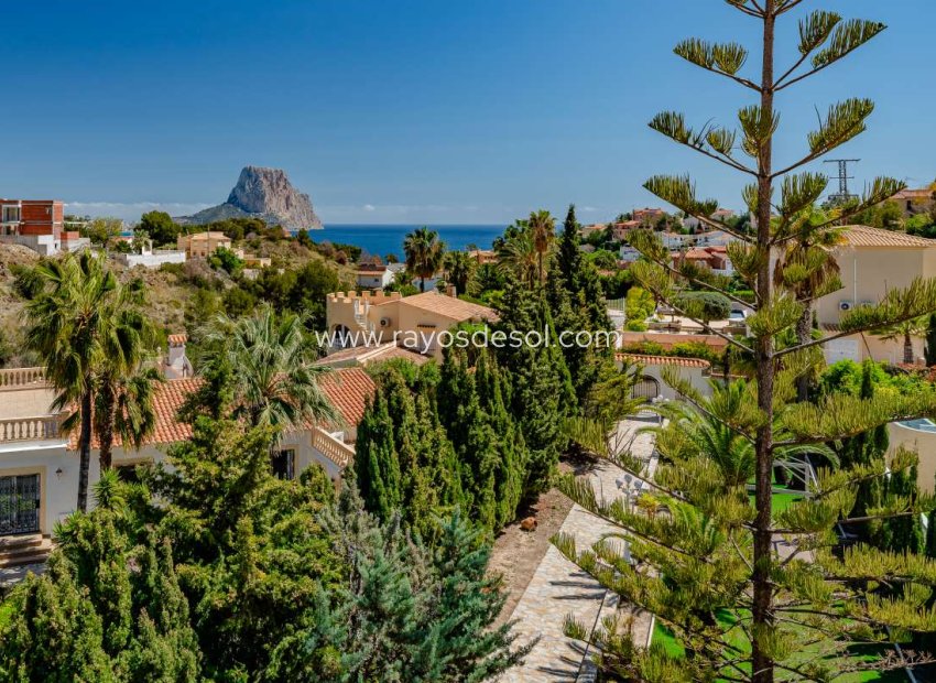 Herverkoop - Villa - Calpe
