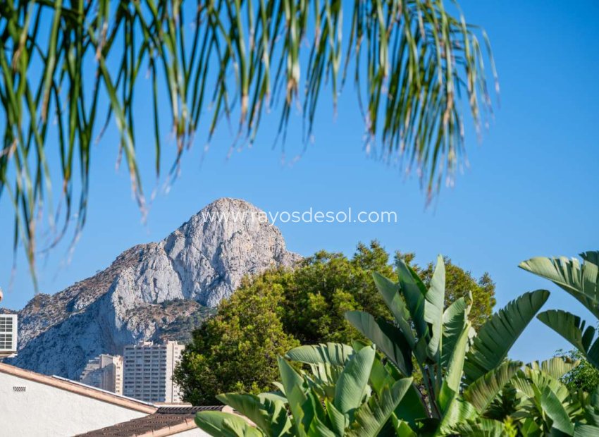 Herverkoop - Villa - Calpe
