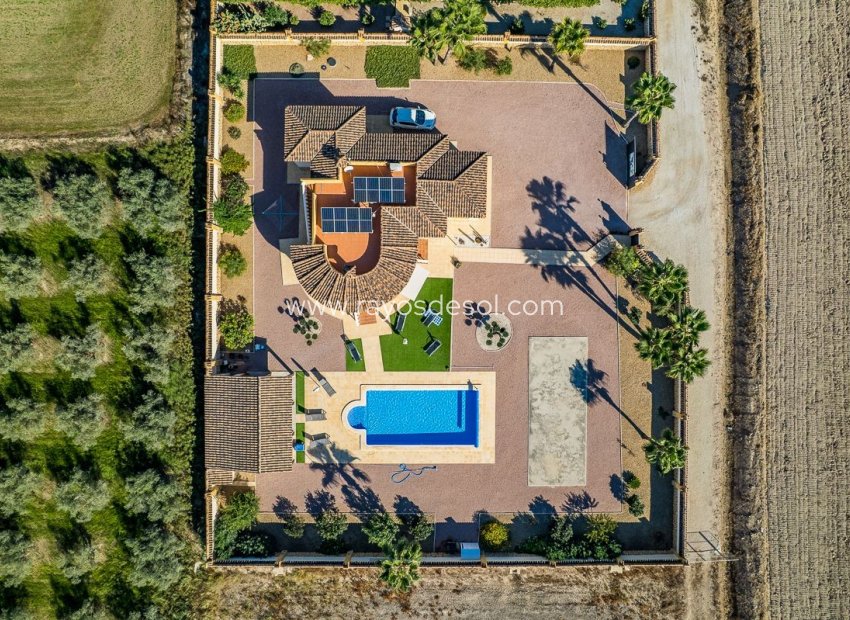 Herverkoop - Villa - Catral