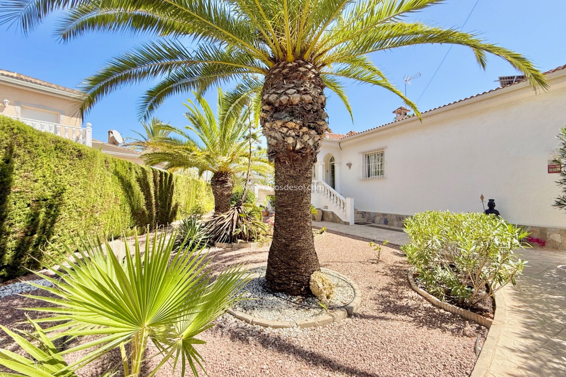Herverkoop - Villa - Ciudad Quesada/Rojales - Centro de la Ciudad Quesada