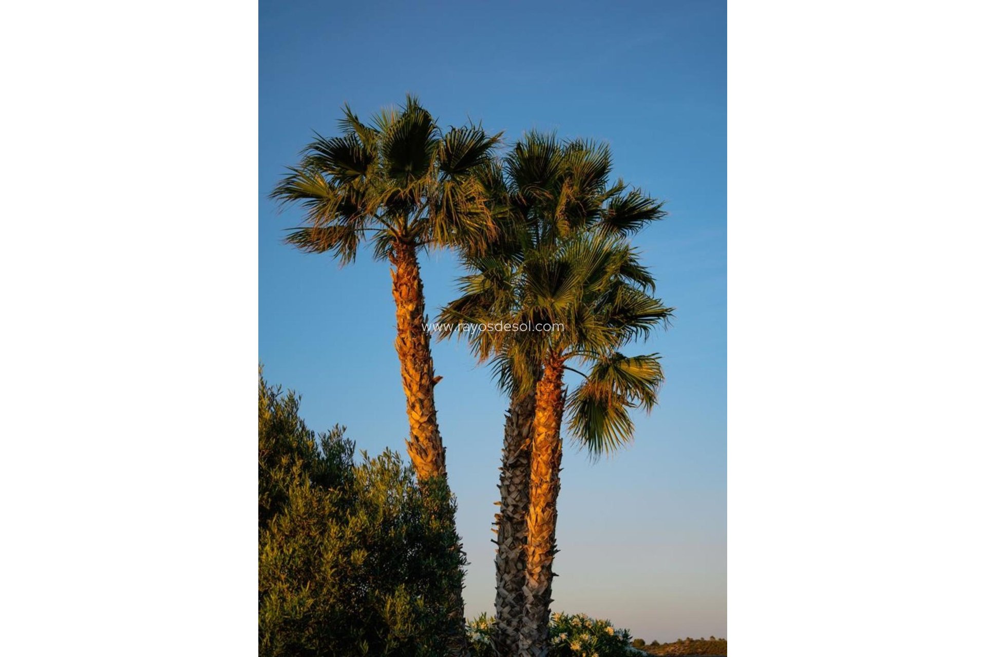 Herverkoop - Villa - El Valle Golf Resort