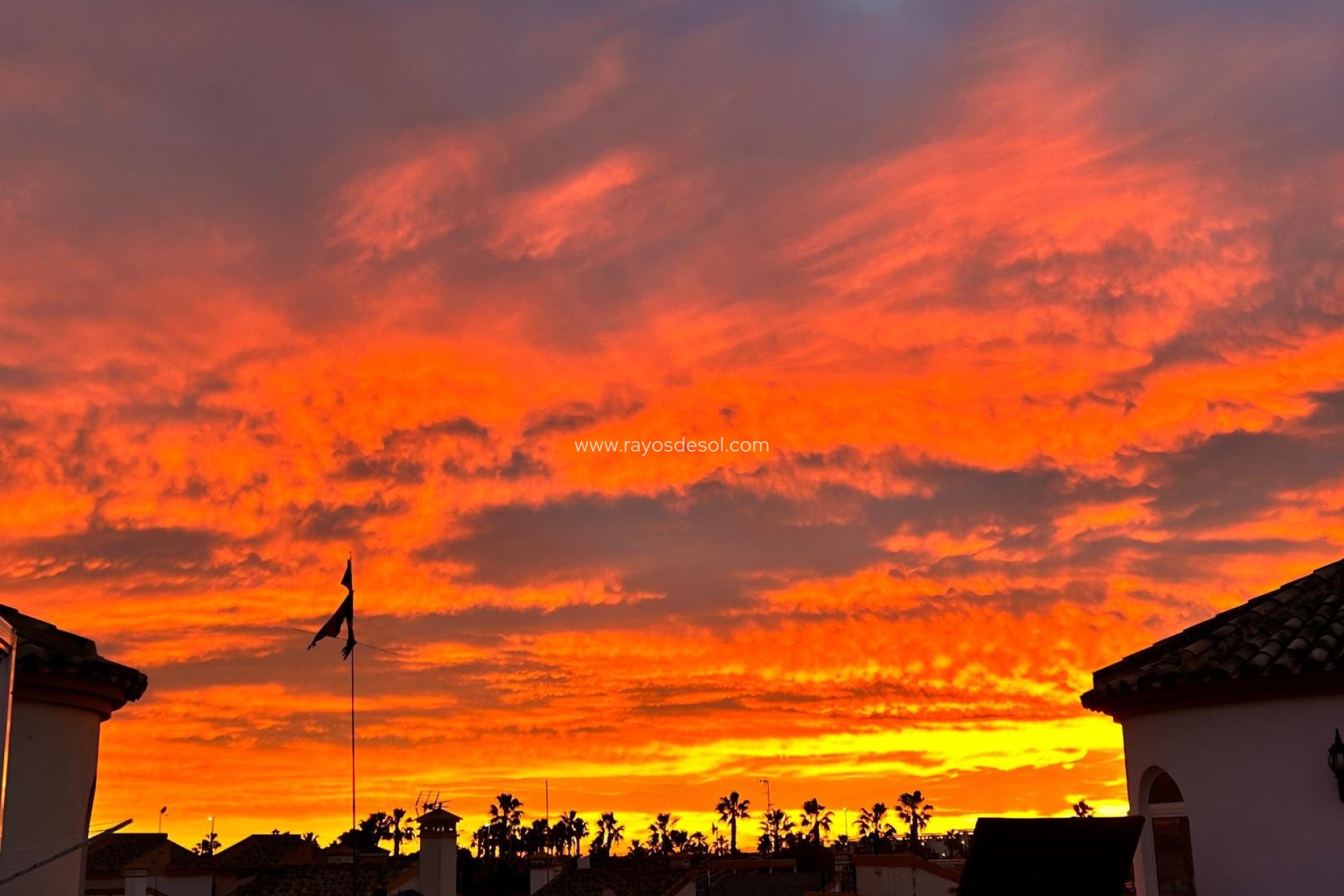 Herverkoop - Villa - Guardamar del Segura - El Raso