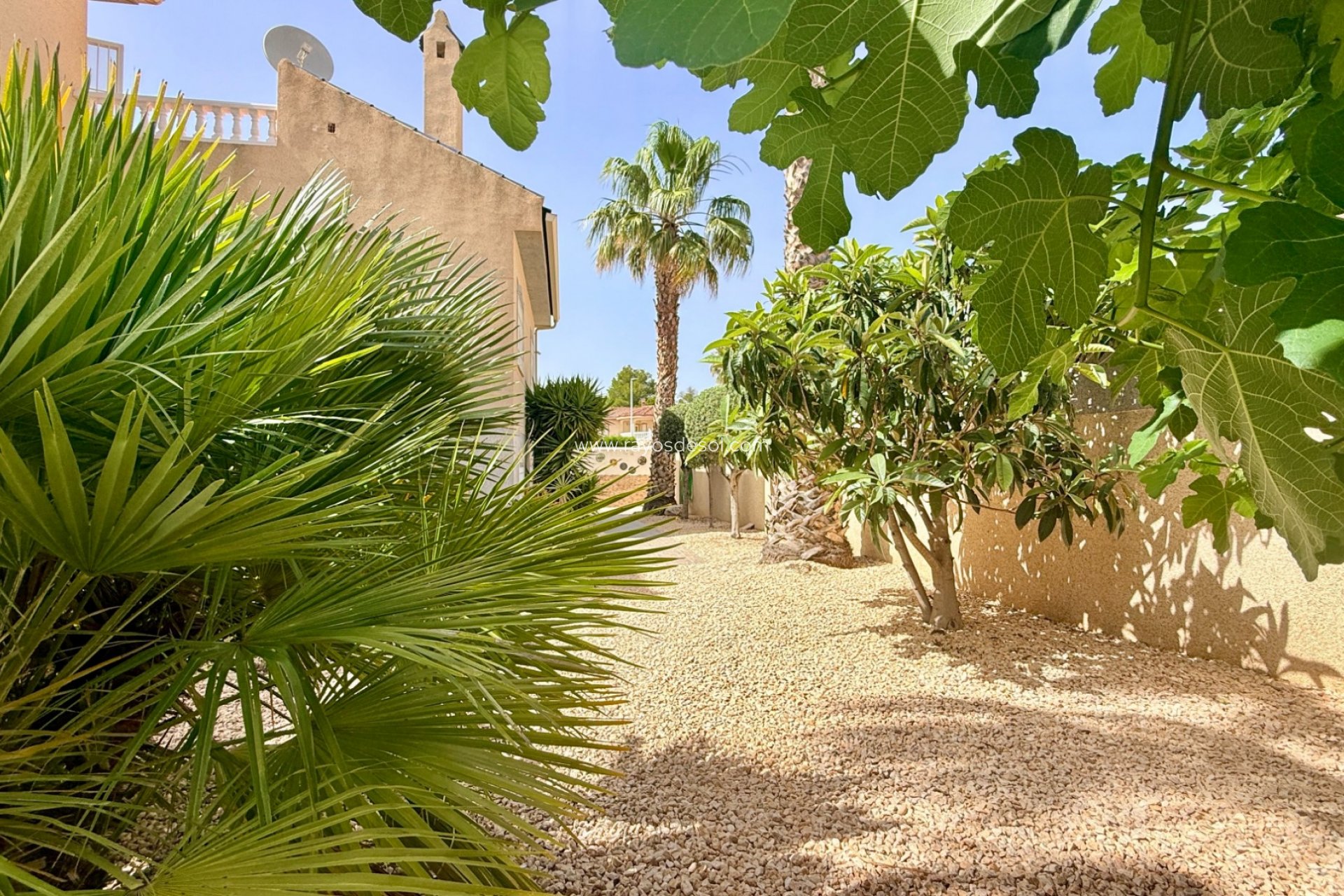 Herverkoop - Villa - Hondón de las Nieves