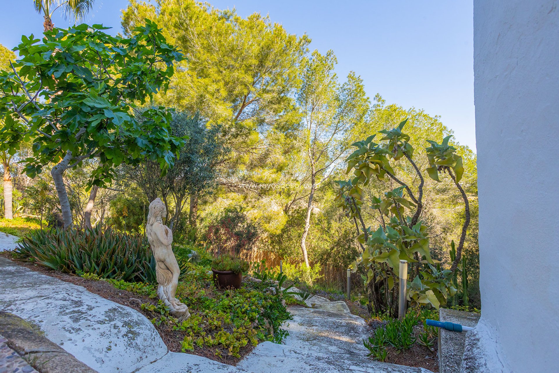Herverkoop - Villa - Orihuela - Orihuela Costa