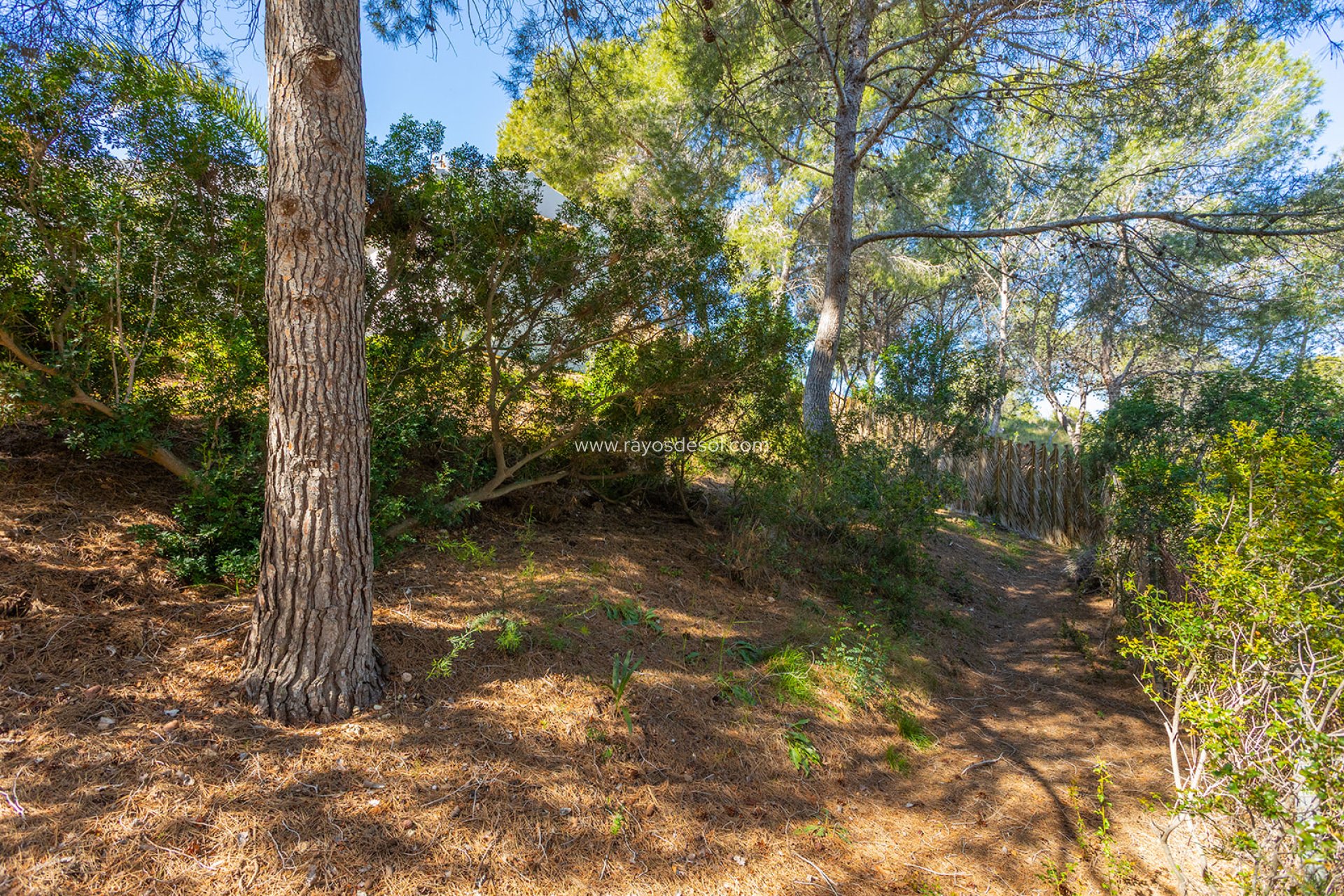 Herverkoop - Villa - Orihuela - Orihuela Costa