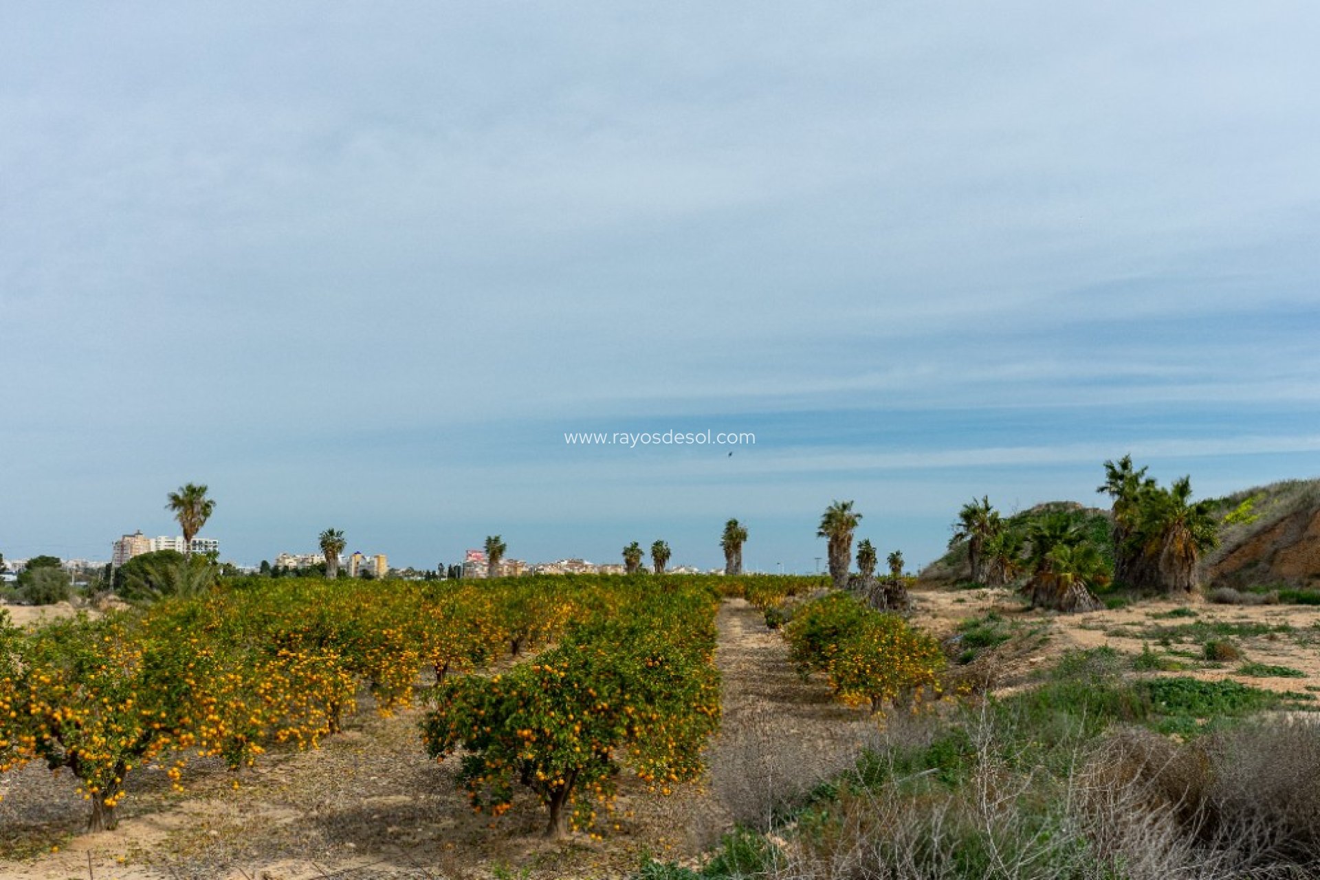 Herverkoop - Villa - Torrevieja - Los Altos