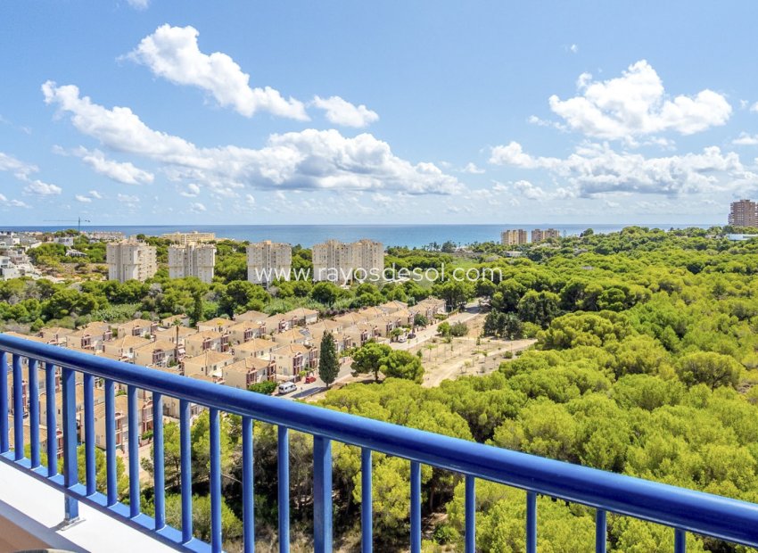 Lange Termijn Verhuur - Appartement - Orihuela Costa - Dehesa de campoamor