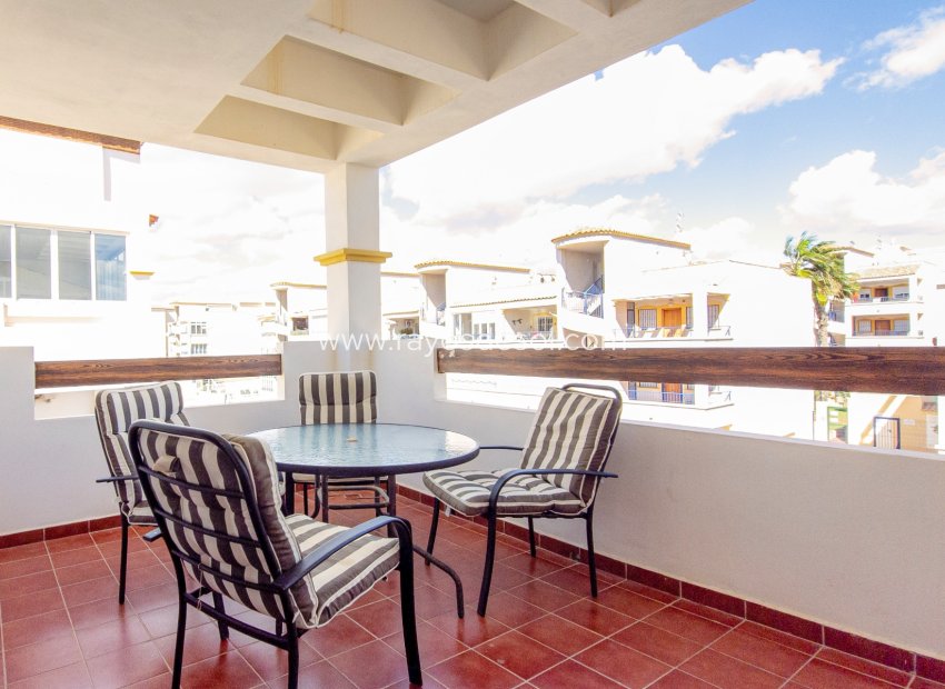 Long Term Rental - Apartment - Orihuela Costa - Punta Prima