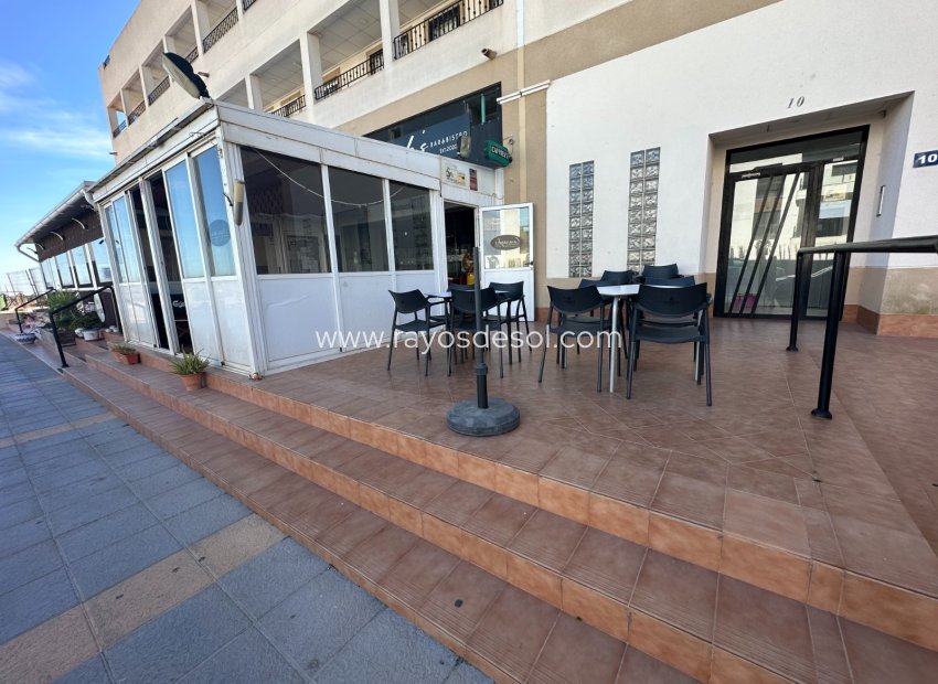 Long Term Rental - Commercial Property - Orihuela - Vistabella Golf