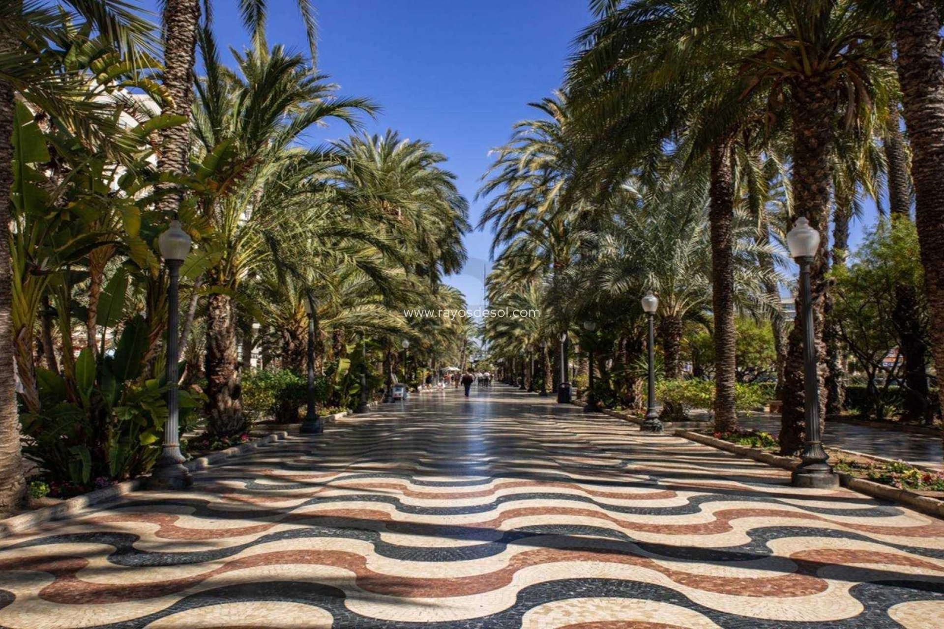 Neue Gebäude - Appartement - Alicante - Centro