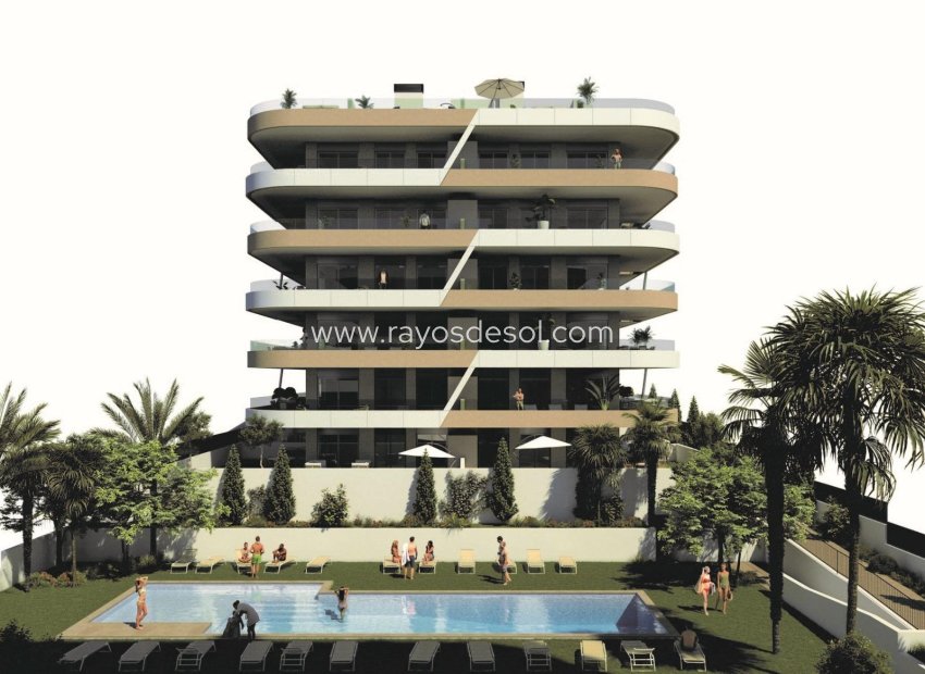 Neue Gebäude - Appartement - Arenales del Sol - Arenales Del Sol