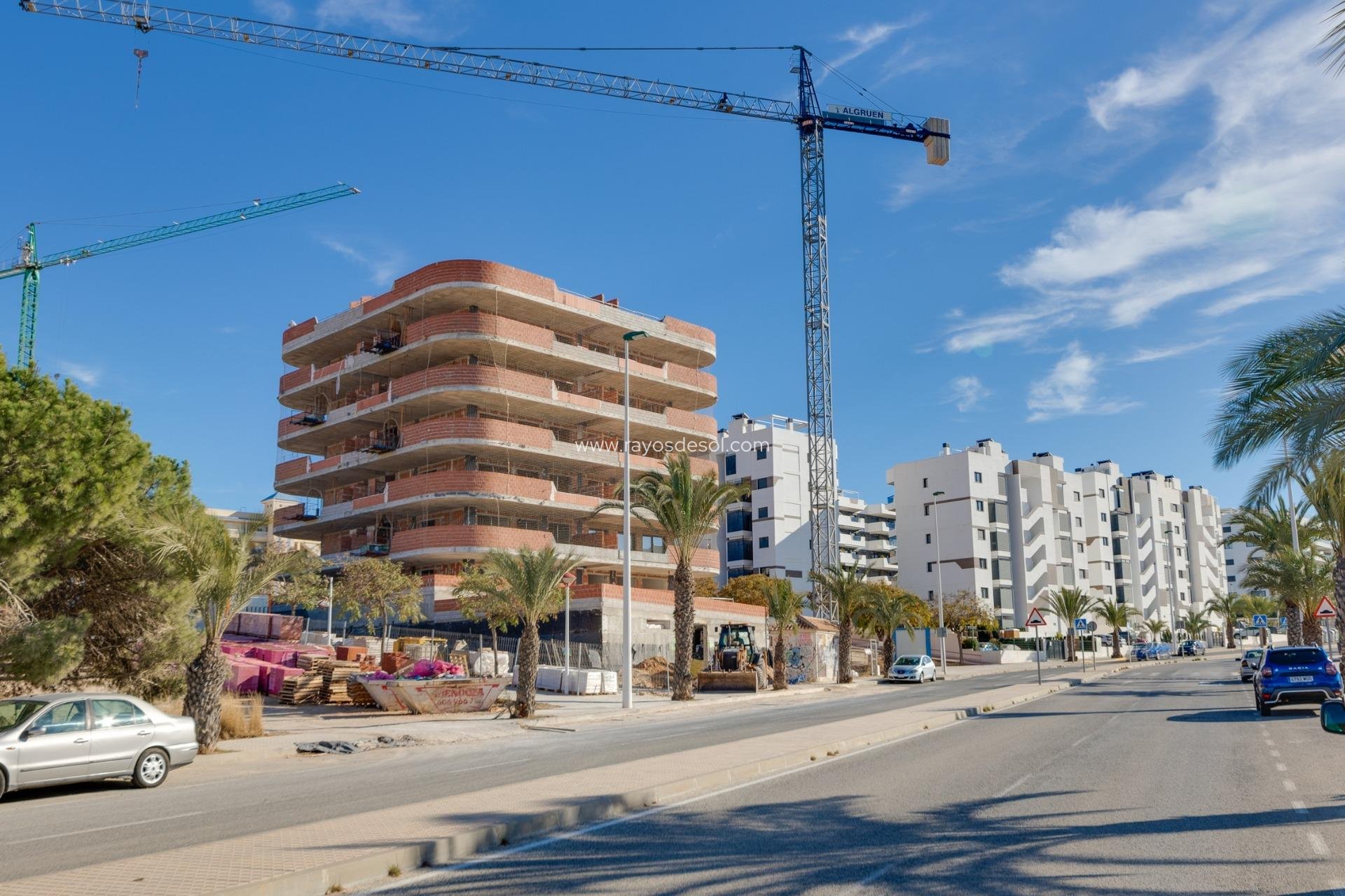 Neue Gebäude - Appartement - Arenales del Sol - Arenales Del Sol