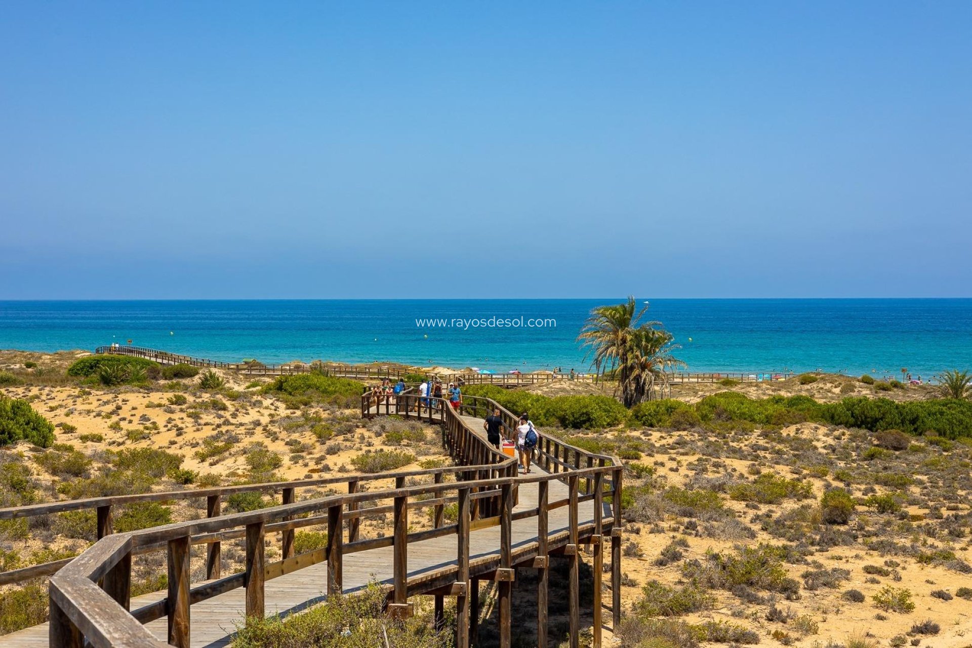 Neue Gebäude - Appartement - Arenales del Sol - Arenales Del Sol