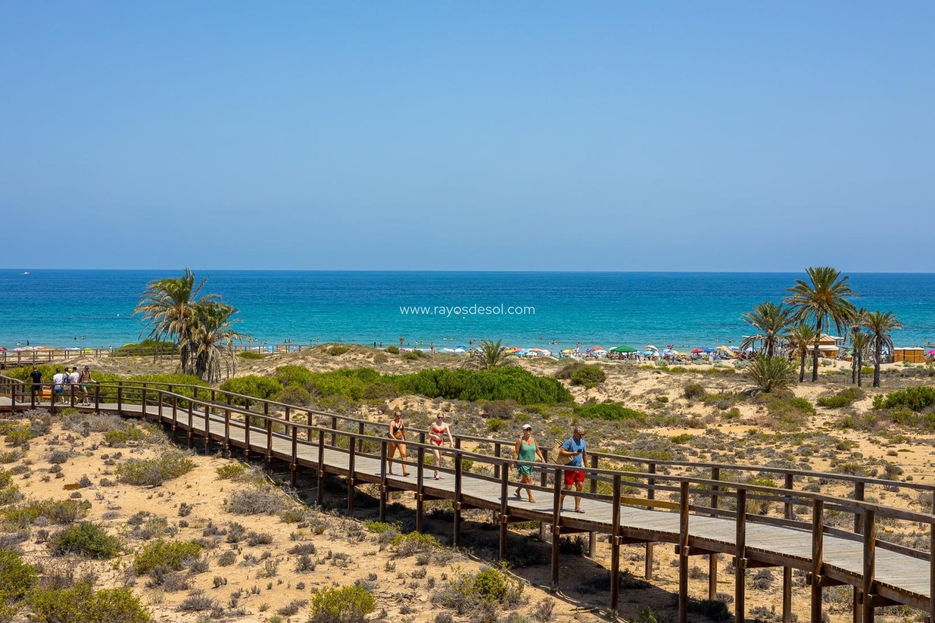 Neue Gebäude - Appartement - Arenales del Sol - Arenales Del Sol