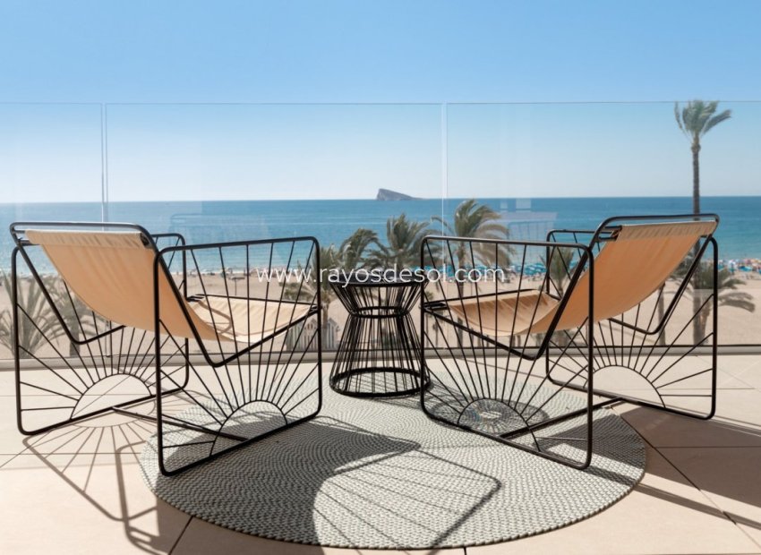 Neue Gebäude - Appartement - Benidorm - Playa Poniente