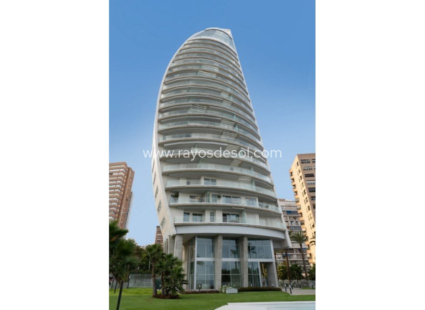 Neue Gebäude - Appartement - Benidorm - Playa Poniente