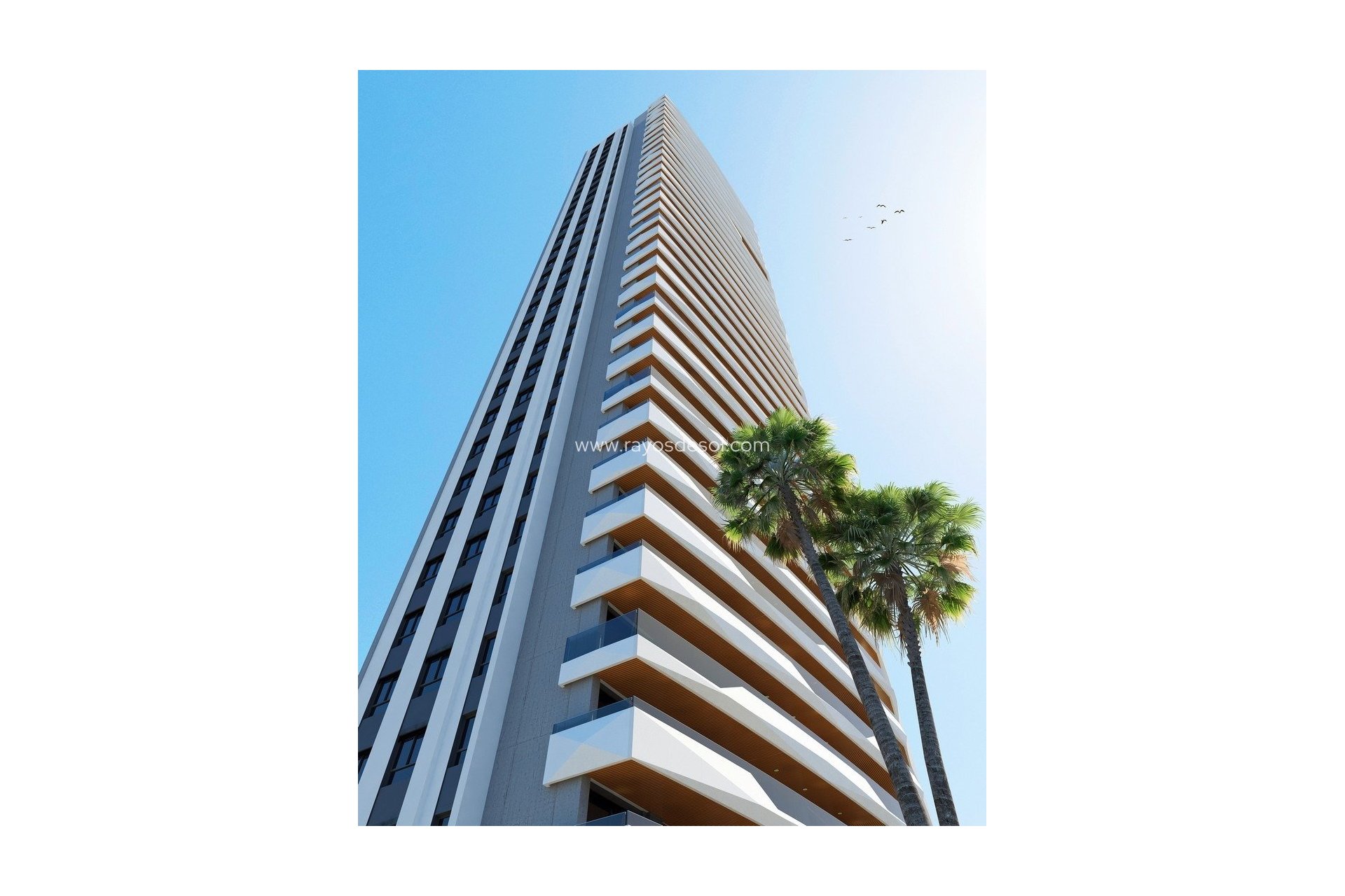 Neue Gebäude - Appartement - Benidorm - Poniente