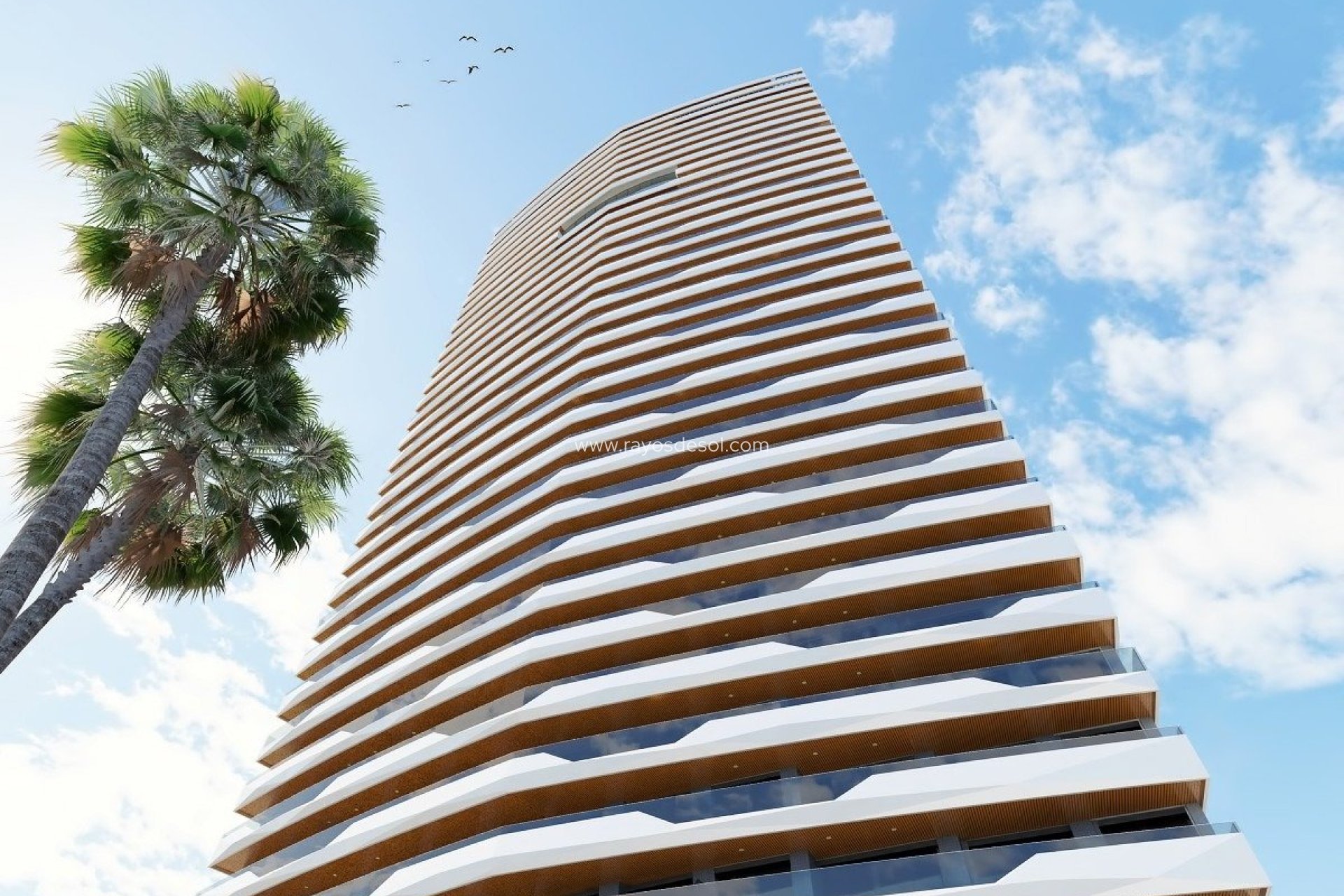 Neue Gebäude - Appartement - Benidorm - Poniente